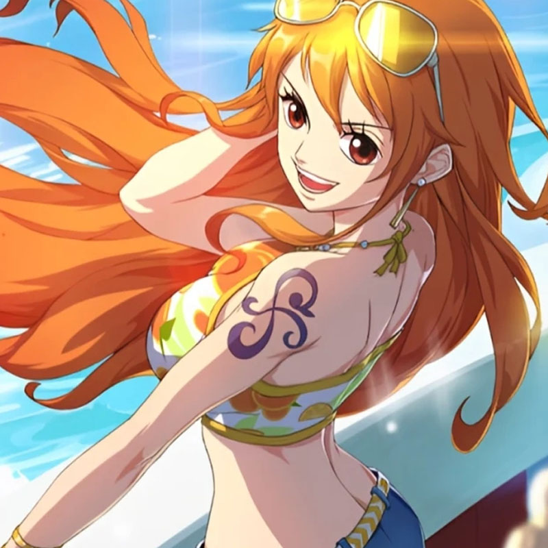 《海贼王》
